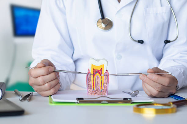 Best Emergency Wisdom Tooth Extraction in USA